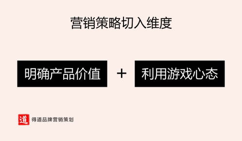 提升銷(xiāo)量的營(yíng)銷(xiāo)策劃 從理論到實(shí)踐的完整指南